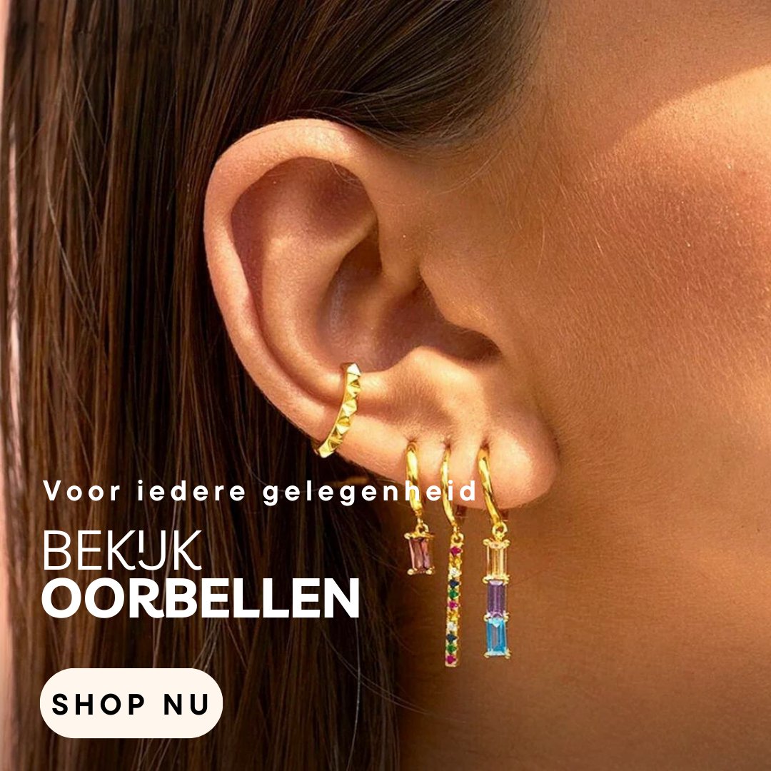 oorbel oorbellen met bedels goud rvs stainless steel zirkonia oorring